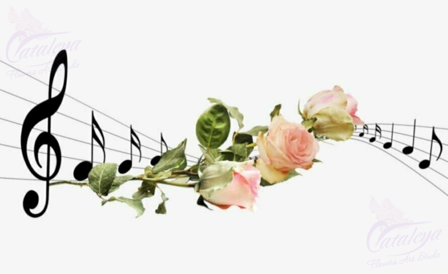 цветы и музыка