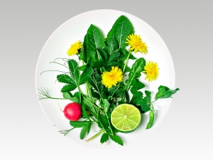 Салат с листьями одуванчика